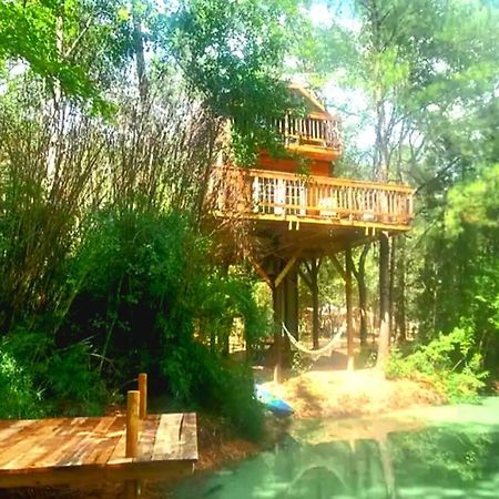 Waterfront Treehouse In A Magical Forest Waller Buitenkant foto
