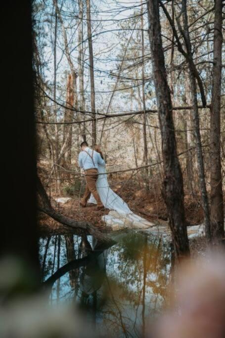 Waterfront Treehouse In A Magical Forest Waller Buitenkant foto