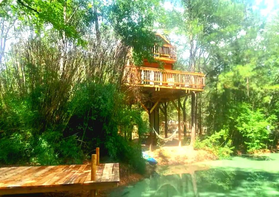 Waterfront Treehouse In A Magical Forest Waller Buitenkant foto